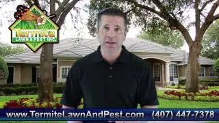 Orlando Pest Control  Orlando Termite Control - 407-447-7378
