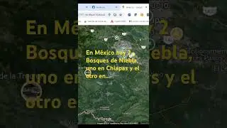 Bosque de Niebla de las altas monta&ntilde;as de Veracruz, biodiversidad!