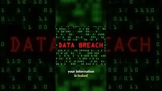 How scammers do wire fraud 🏦