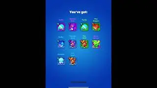 Punball - Pulling for Honor+4 Hydra SS pet