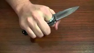 Мысли о ноже: Ganzo G709