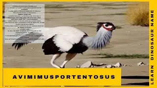 Dinosaur Song Avimimus portentosus#dinosaur #dinosaursong #kidslearning # Avimimus # tambatitanis