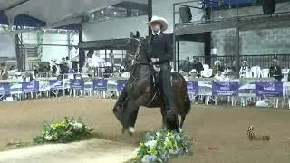 NOTA PERFECTA DE LA ESPERANZA, GRAN CAMPEONA RESERVADA TROCHA Y GALOPE FESTIVAL  MARINILLA 2026