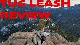 TUG Retractable Leash Review