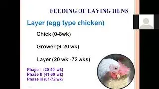 Day 5 # Layer Feed Management  part 2  @ 12-06-2020