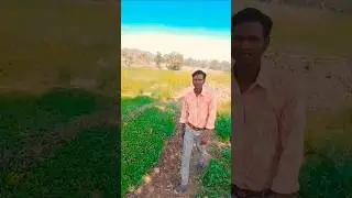 Ek Manzil Rahi Do 🔥🌹#shortsviral #song #jitushorts