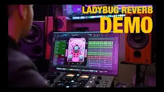 🐞 LadyBug Reverb Demo 001 | Safari Pedals