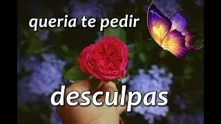 Mensagem de pedido de desculpas - v&iacute;deo de desculpas - para whatsapp - gif desculpas