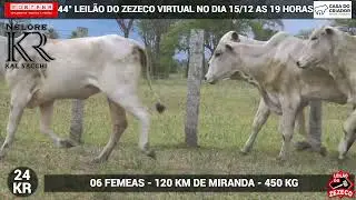 LOTE 24KR