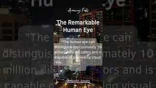 The Remarkable Human Eye