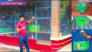 Easy Way To Make Travel Birds Cage Using Apple Box | DIY Birds Cage idea