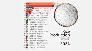 Производство риса по странам (1961-2024)
