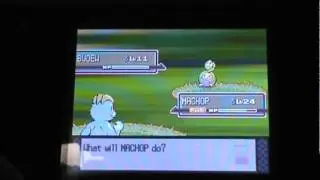 Shiny Budew appears on Platinum after 1226 REs!