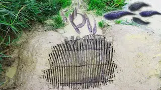 Amazing Fish Trap! Smart Man Build Fish Trap Get Many  Big Fish - Fishing Trap Modern Session 2020