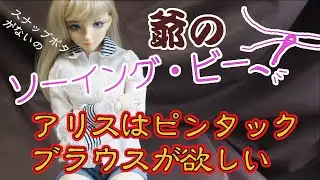 【Alice01 】アリスはピンタックブラウスが欲しい【スナップボタンがない】