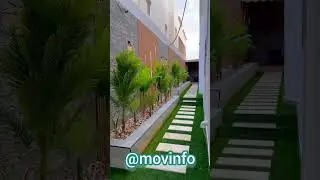 House Mental peace 🕊️ Or Environment Health 🍀😍(5)