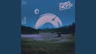 Vinyla Skies