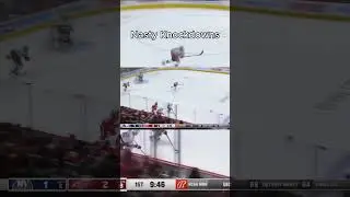 NHL is life  #nhl #hockey #icehockey