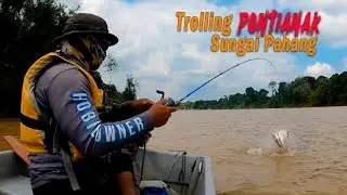 Trolling Pontianak Sungai Pahang (Ikan Begahak)