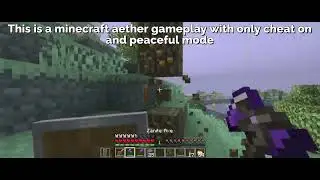Average minecraft aether player speedrun:
