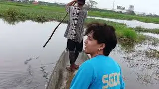 EP,54 pang pandaw ng screen unli sa tilapia pang ulam na🐟🌾