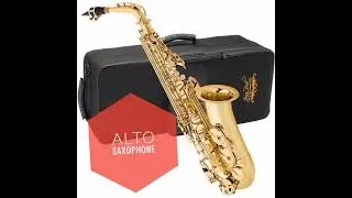 Swam Alto Sax||#mainstage #audiomodeling #mainstage3indiantones #mainstagepatches
