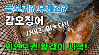 Squid fishing is truly addictive... Goosebumps the moment you catch a squid punch!