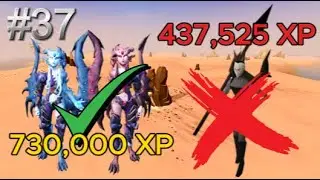 A Training Method Better Than VyreWatch #37 (CGIM Series)