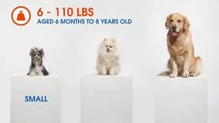 Stopwoofer Ultrasonik K&ouml;pek Eğitici Havlama &Ouml;nleyici