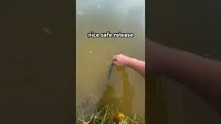 safe release #fishinglife #nature #fish #bassfishing #outdoors #fishing #fyp #vecna