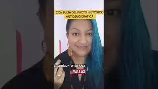 LA CONSULTA NO ES POPULAR SI EXCLUYE AL PUEBLO!