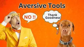 Why Aversive Training is Harmful and Unnecessary for Your Dog!