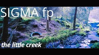 The little creek. SIGMA fp lowlight sample. 12 bit DNG.
