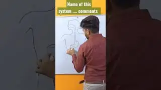 how to draw human digestive system diagram #shorts #youtubeshorts #biology #kapil #art #drawing