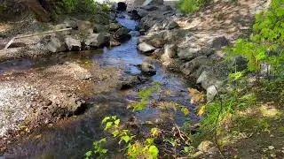 Calming BABBLING brook (10-Hours) Peaceful water stream sounds