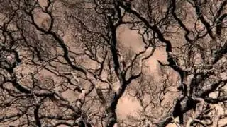 Sting Inspired Music