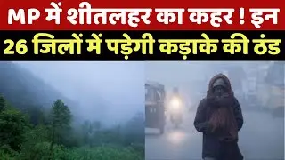 MP Cold Wave : MP में अब थरथराएगी ठंड ! इन जिलों में शीतलहर का अलर्ट | Breaking News | Latest News
