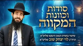 שיעור בתורת הינוקא | שידור חי | הרב לוי יצחק שוב שליט״א