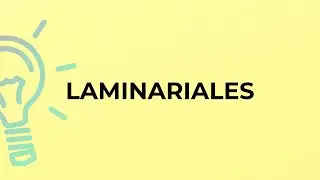 What is the meaning of the word LAMINARIALES?
