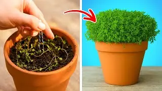 Trucos de jardinería para cultivar lo que sea. 🌵🌸