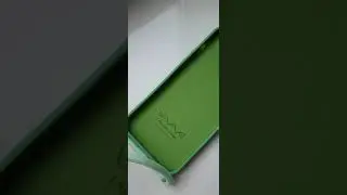 Чехол-накладка WAVE Lanyard Case (TPU) iPhone 12 Pro Max mint gum