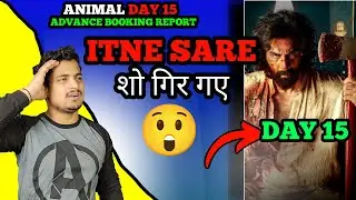 Animal Movie Day 15 Advance Booking Report | Animal Day 15 Box Office Collection #animal
