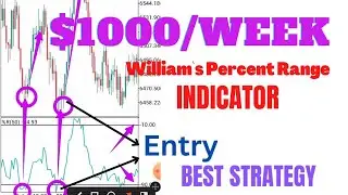 💯% Accuracy Using W-P-R Indicator // Best Trading Strategy 2023
