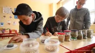 DEN ROZMANITÝCH ČINNOSTÍ NA SPECIÁLNÍ ŠKOLE