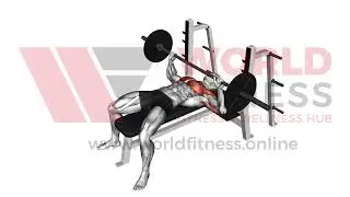 Barbell Pause Bench Press Demo