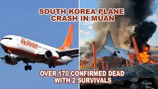 South Korea Plane Crash: Jeju Air Disaster Claims 177 Lives &ndash; Latest Updates