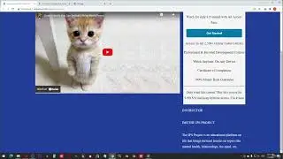 WordPress Developer Build Premium Themes & Plugins Part -13 Change Fonts
