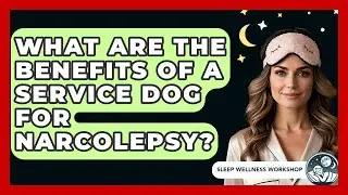 What Are The Benefits Of A Service Dog For Narcolepsy? - Sleep Wellness Workshop