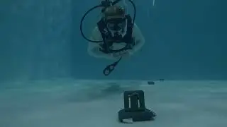 Bailey rocks her perfect buoyancy skill! 