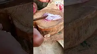 MuttonCutting athome #cutting #goat #mutton #shorts #new #athome #newshorts #muttoncutting #sdavlogs